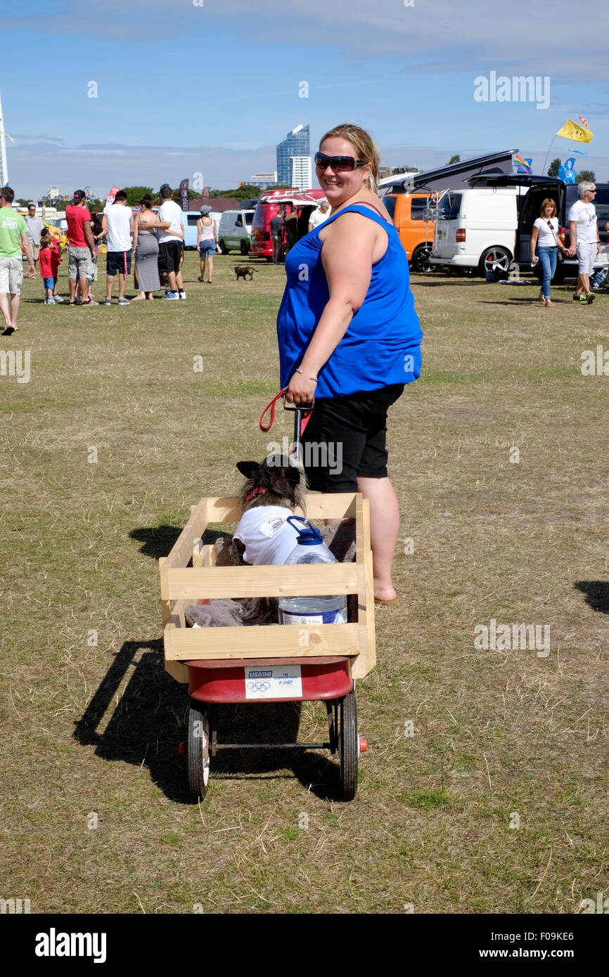 female towing her dog in a box on wheels at the vw car show in southsea england 2015 Stock Photo