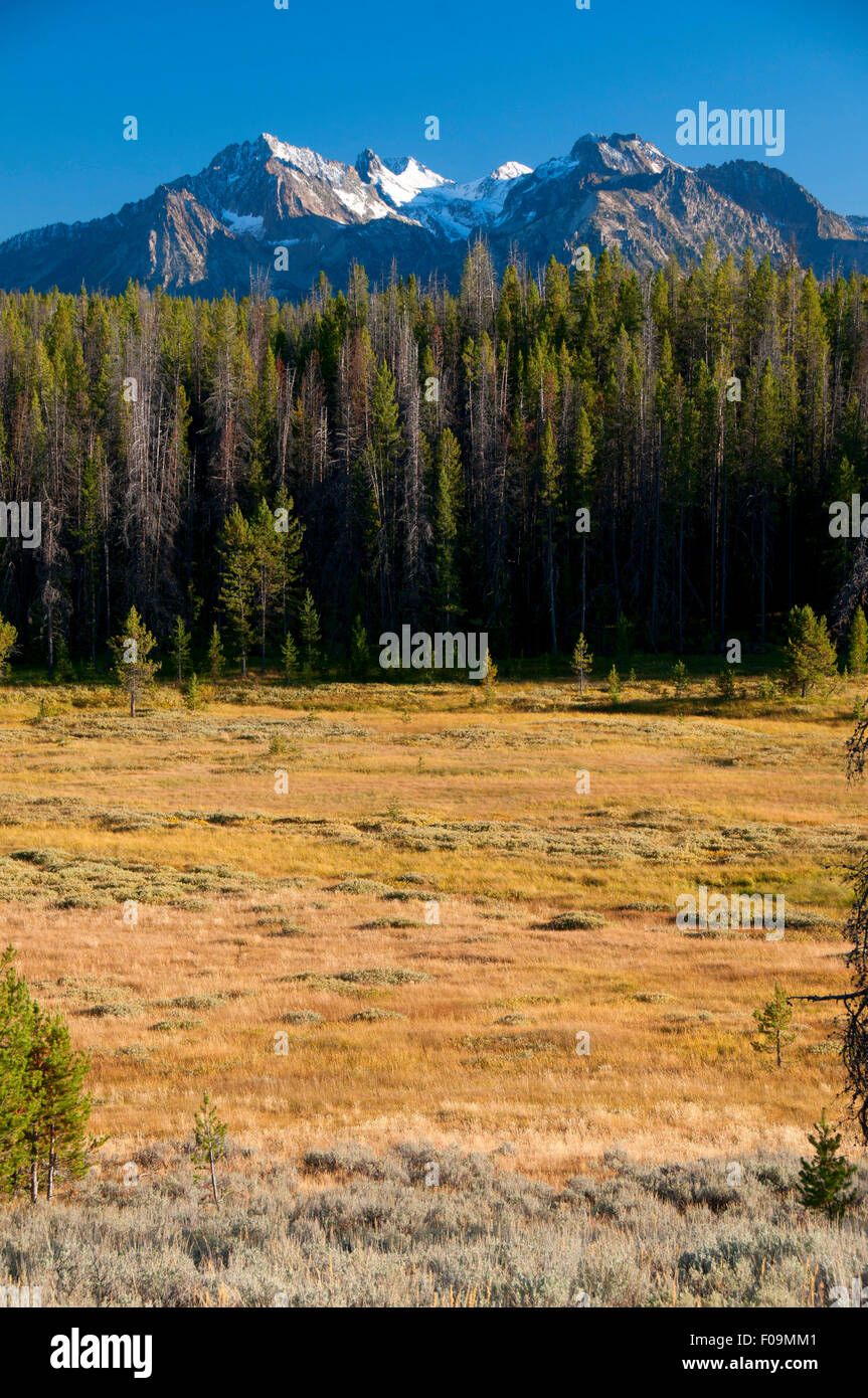 Park Creek Overlook to Sawtooth Range, Ponderosa Pine Scenic Byway, Sawtooth National Recreation