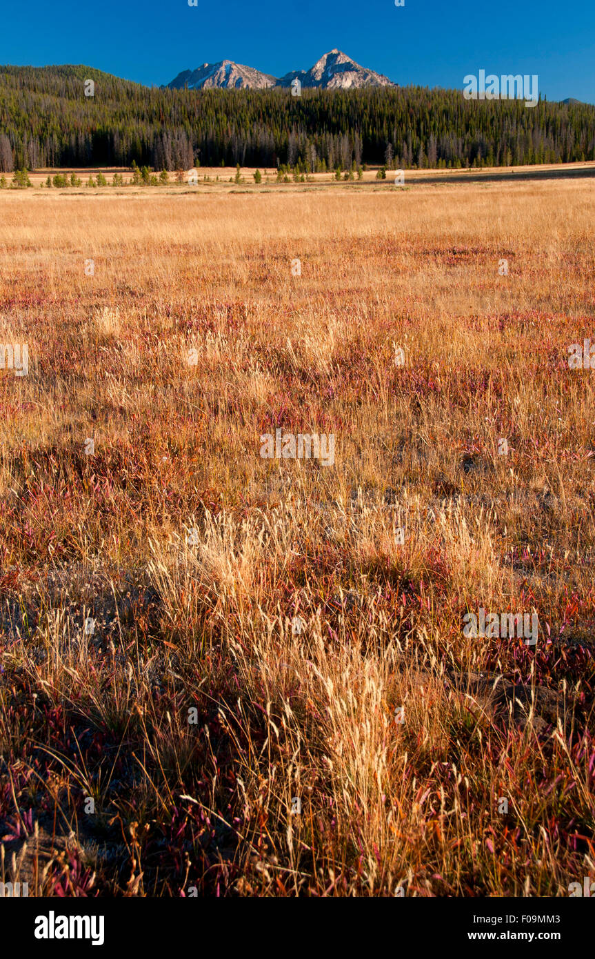 Trap Creek Meadow to Sawtooth Range, Ponderosa Pine Scenic Byway, Sawtooth National Recreation