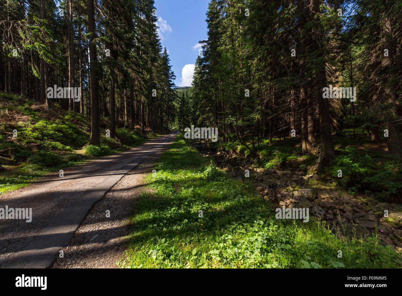 On the trail near Pec Pod Snezkou in Krkonose mountains, Czech Republic Stock Photo