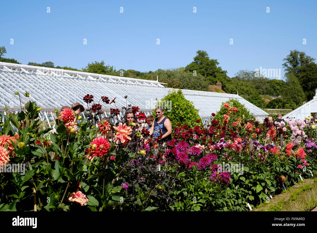 quiet flower gardens during the chilli festival west dean gardens chichester england uk 2015 Stock Photo