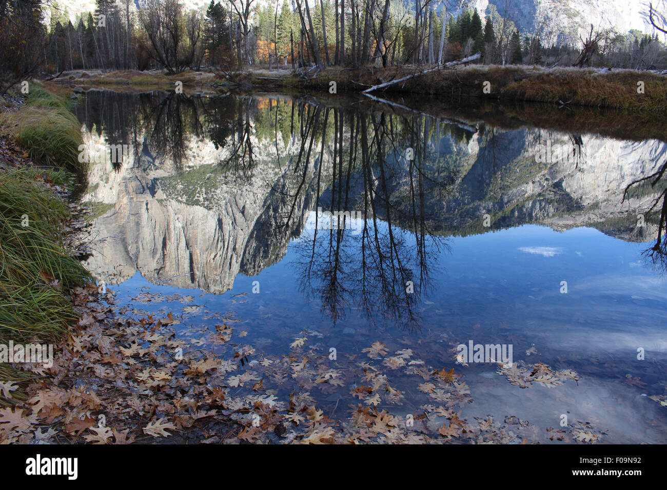 Morning Reflections in Merced River at the Swinging Bridge. Stock Photo