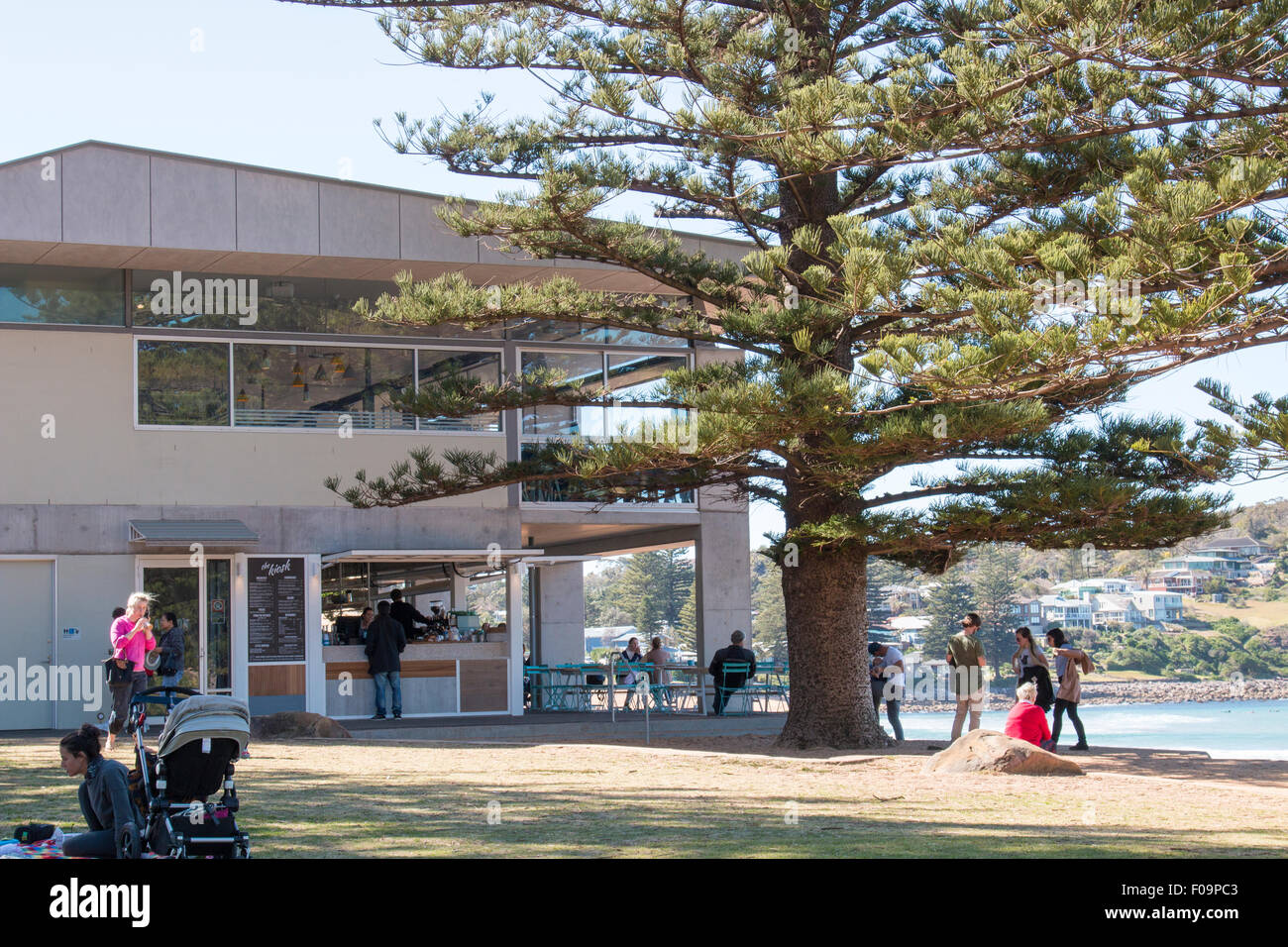 Avalon Beach surf life saving club and cafe coffee shop, new in 2014