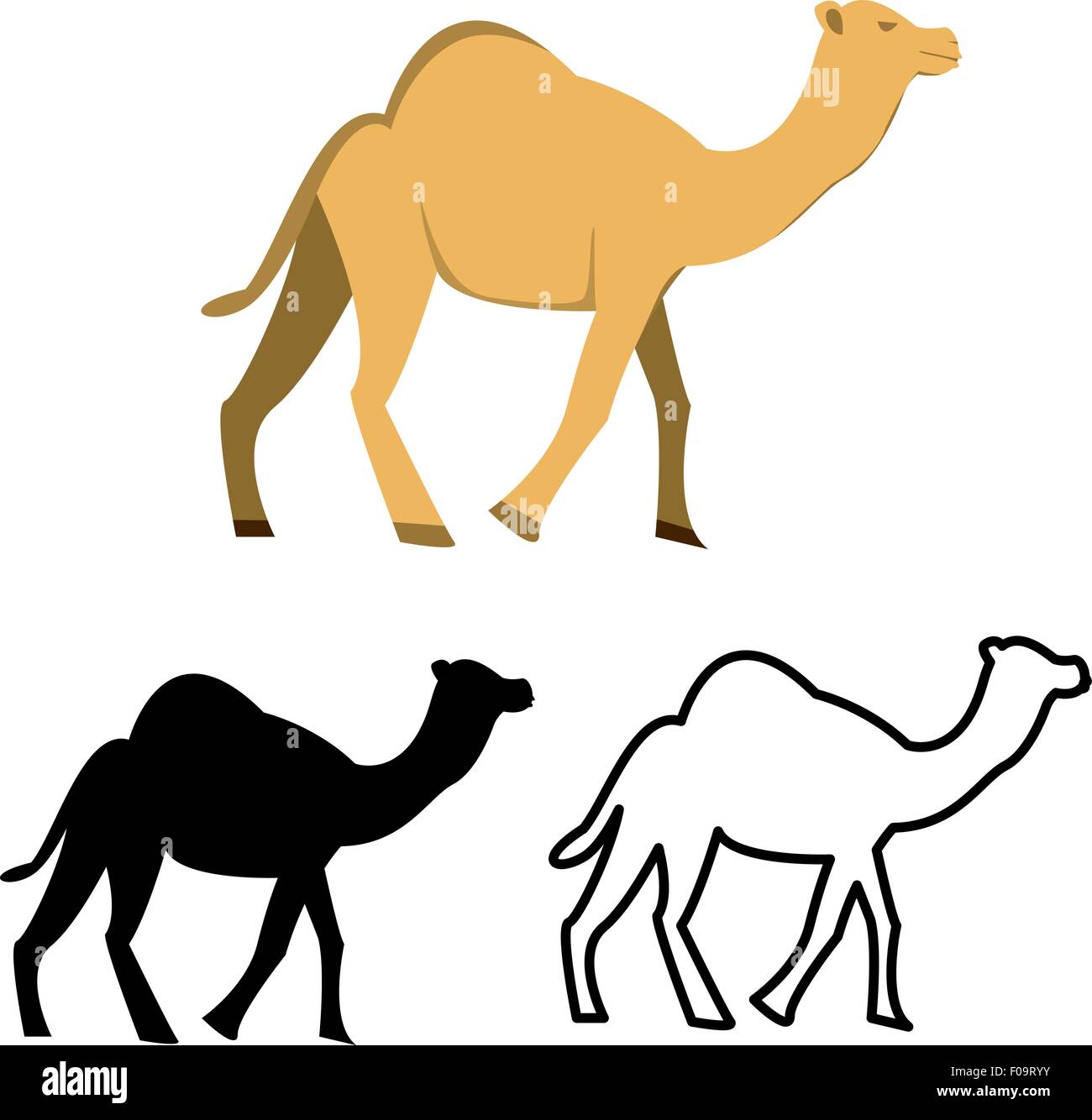 Set of flat camel icon, vector Stock Vector