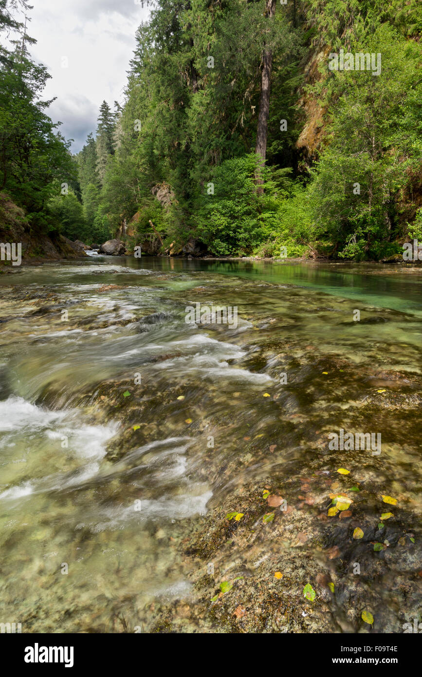 Salmon Creek flowing over bedrock ledges, Oregon Stock Photo Alamy