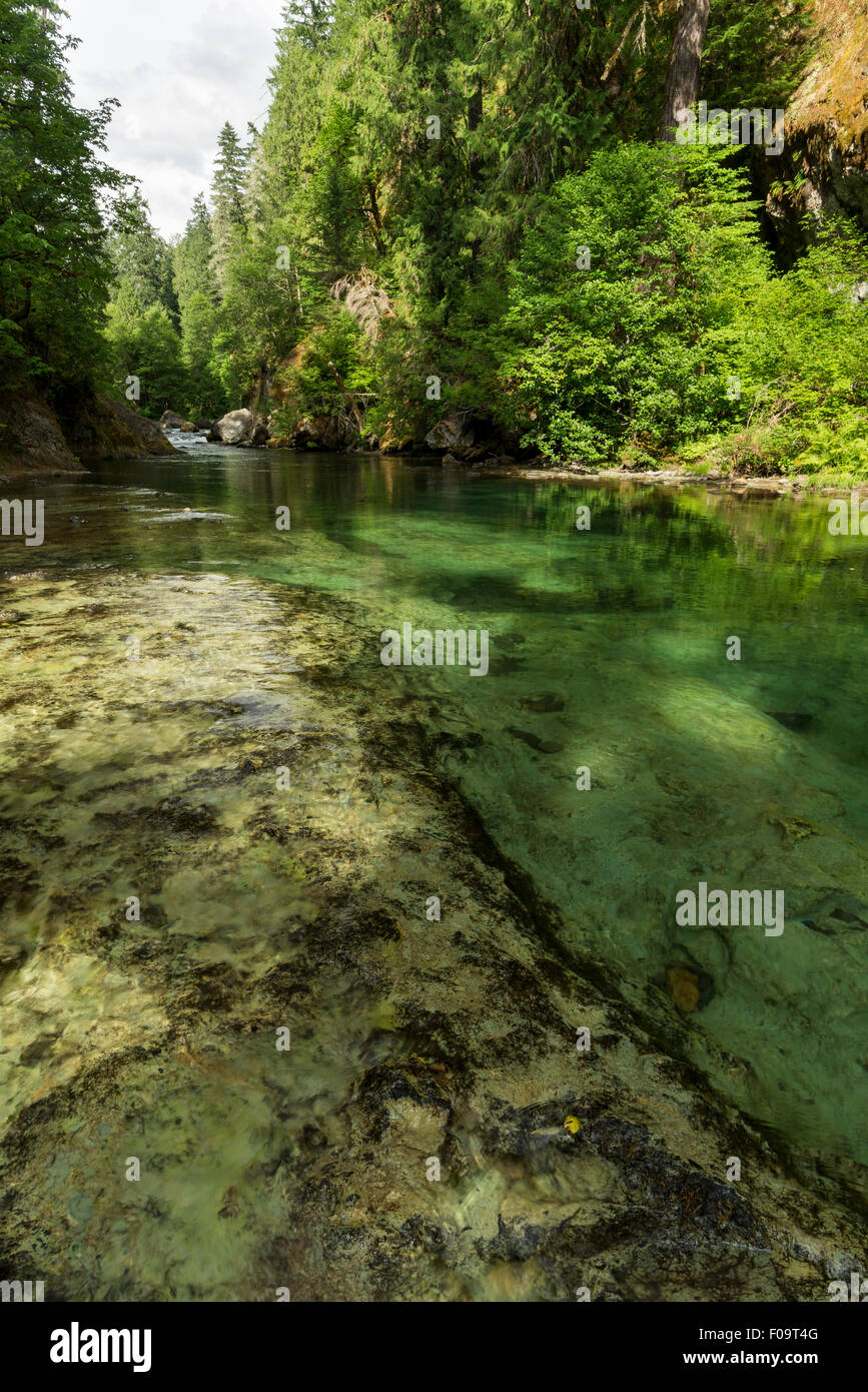 Salmon Creek flowing over bedrock ledges, Oregon Stock Photo Alamy