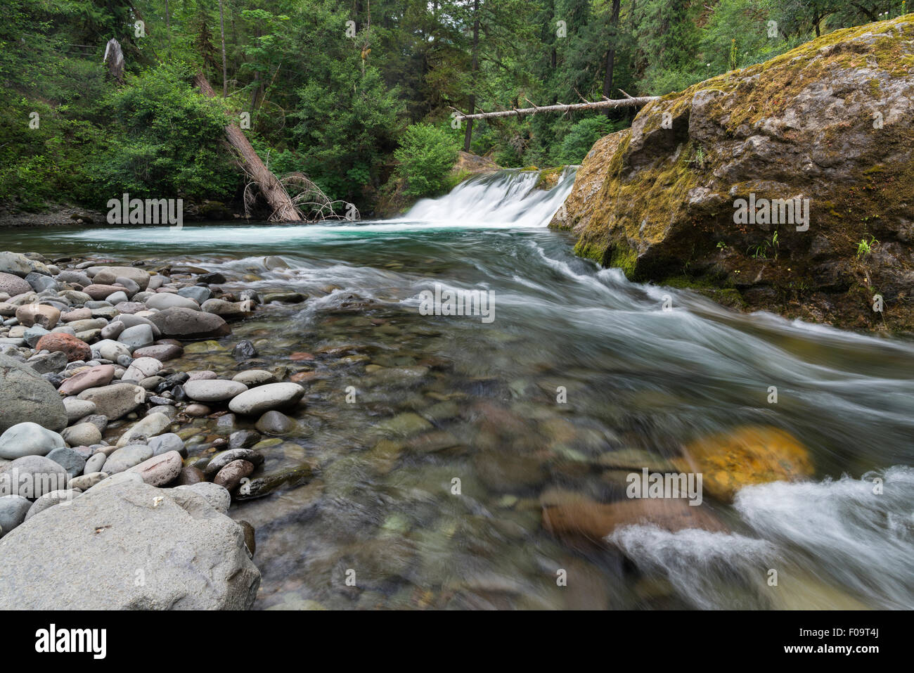 Salmon Creek Falls, Willamette National Forest, Oregon Stock Photo Alamy