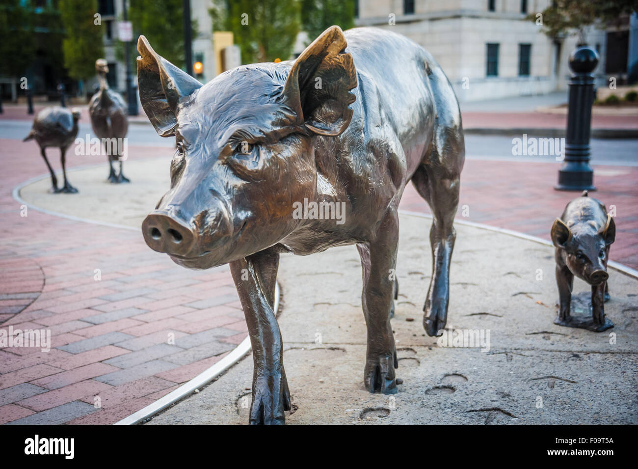 Urban trail asheville hi-res stock photography and images - Alamy