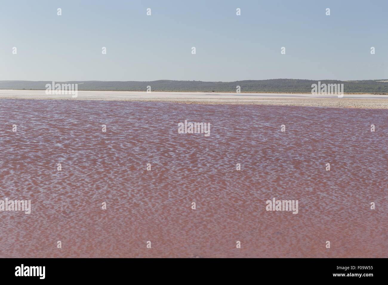 Pink Lake at Kalbarri National Park, Australia Stock Photo Alamy