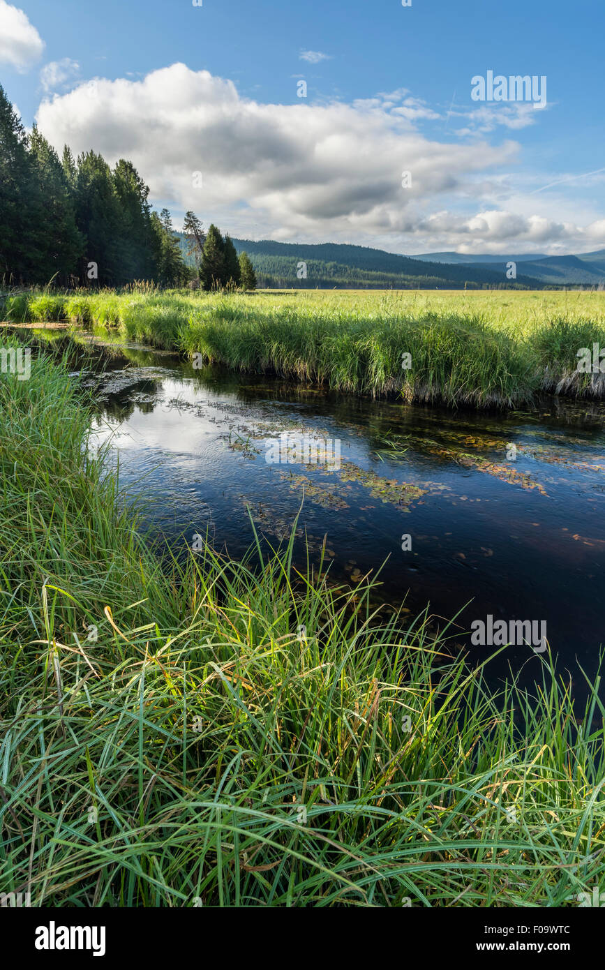Big Marsh, Oregon. Stock Photo