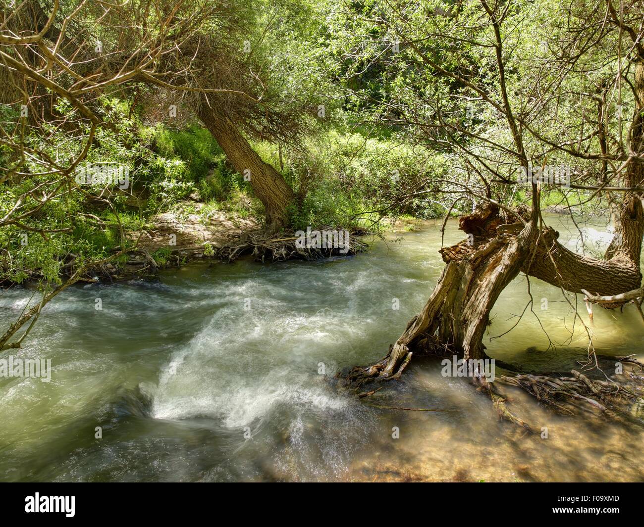 View of river Melendiz in Ihlara Valley, Cappadocia, Turkey Stock Photo