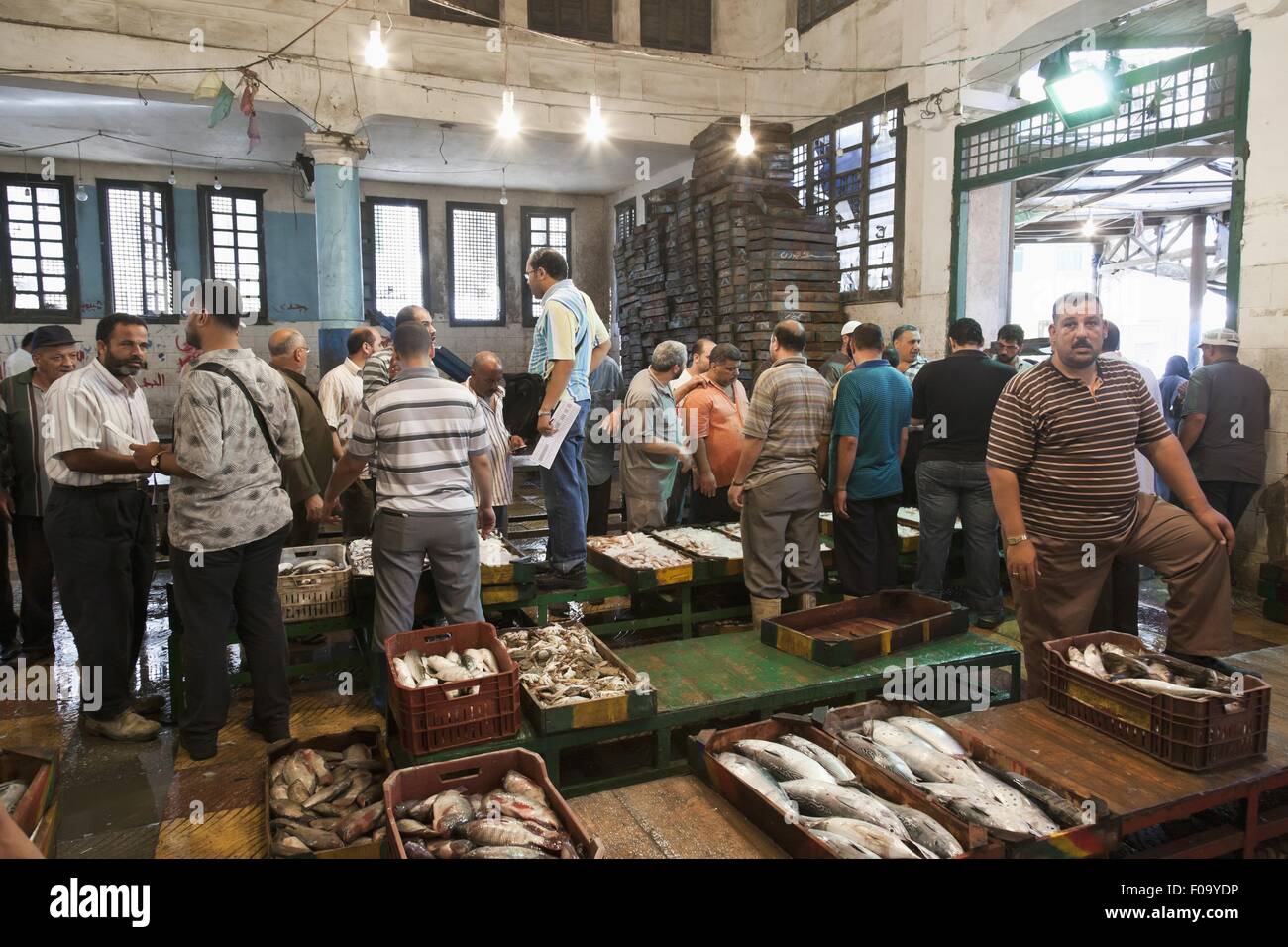 People in fish market at Alexandria, Egypt Stock Photo Alamy