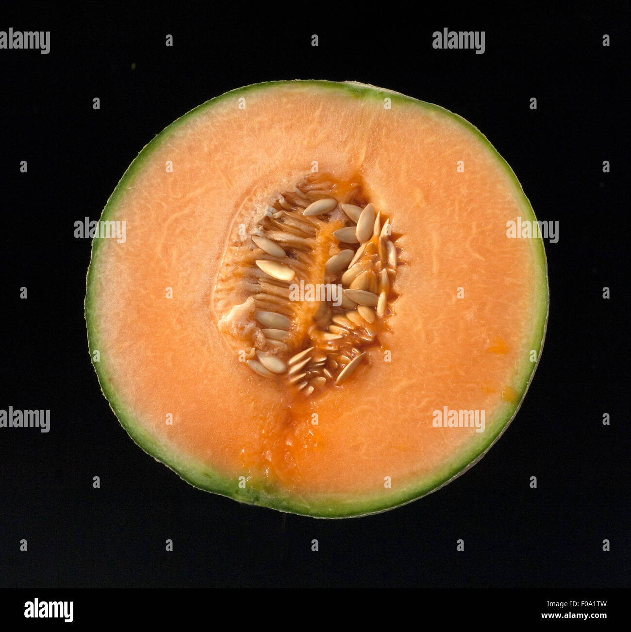 Cantaloupe-Melone, Cucumis melo var. cantalupensis, Stock Photo