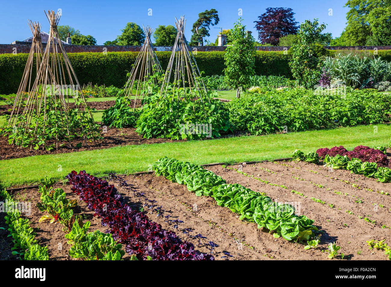 The vegetable garden in the walled gardens of Bowood House in Wiltshire. Stock Photo