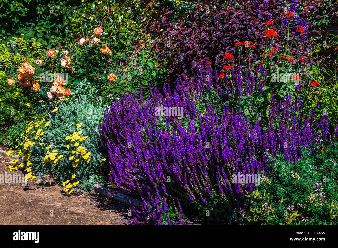 Perennial plants herbaceous border hi-res stock photography and images ...