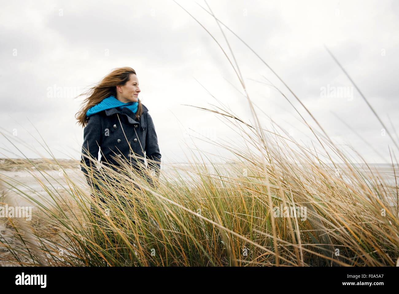 Woman wearing burberry coat standing relaxed between reeds on beach Stock Photo