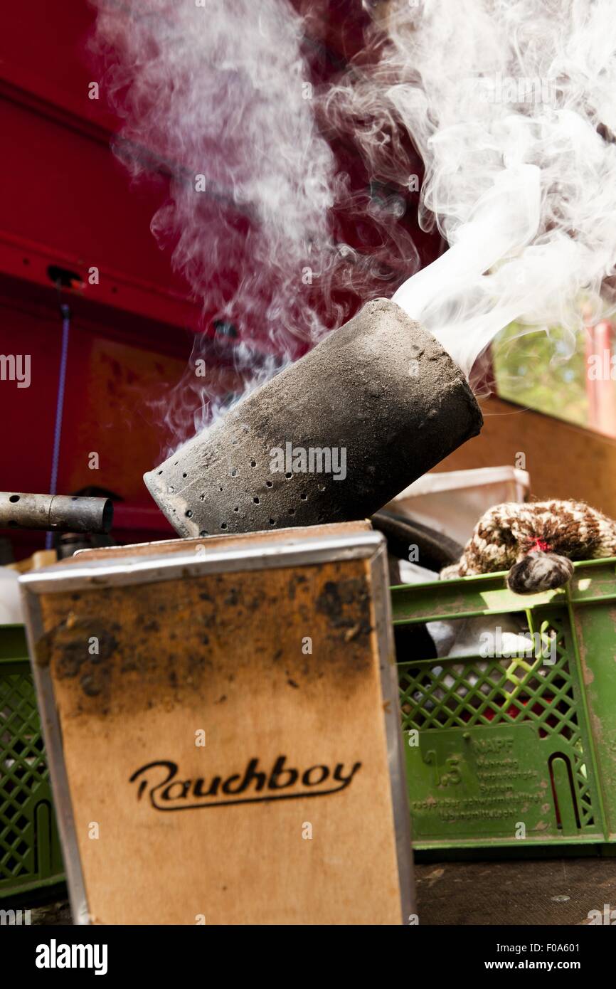 Process of beekeeping in Kassel, Hesse, Germany Stock Photo