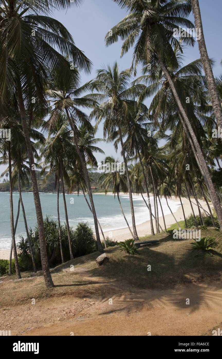 View of Tangalle beach and palm trees from Jetwing Hotel, Sri Lanka Stock Photo