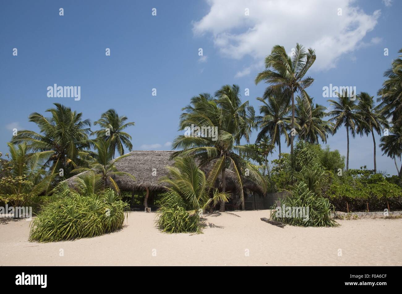 View of palm trees and hut on Tangalle beach, Sri Lanka Stock Photo