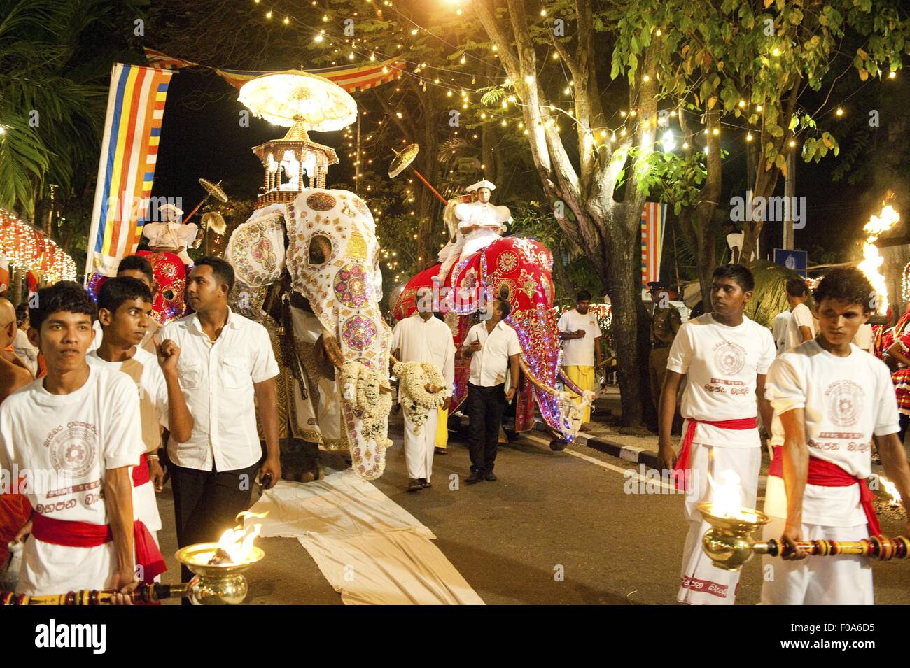 Elephants being decorated for Navam Perahera, Colombo, Sri Lanka Stock Photo