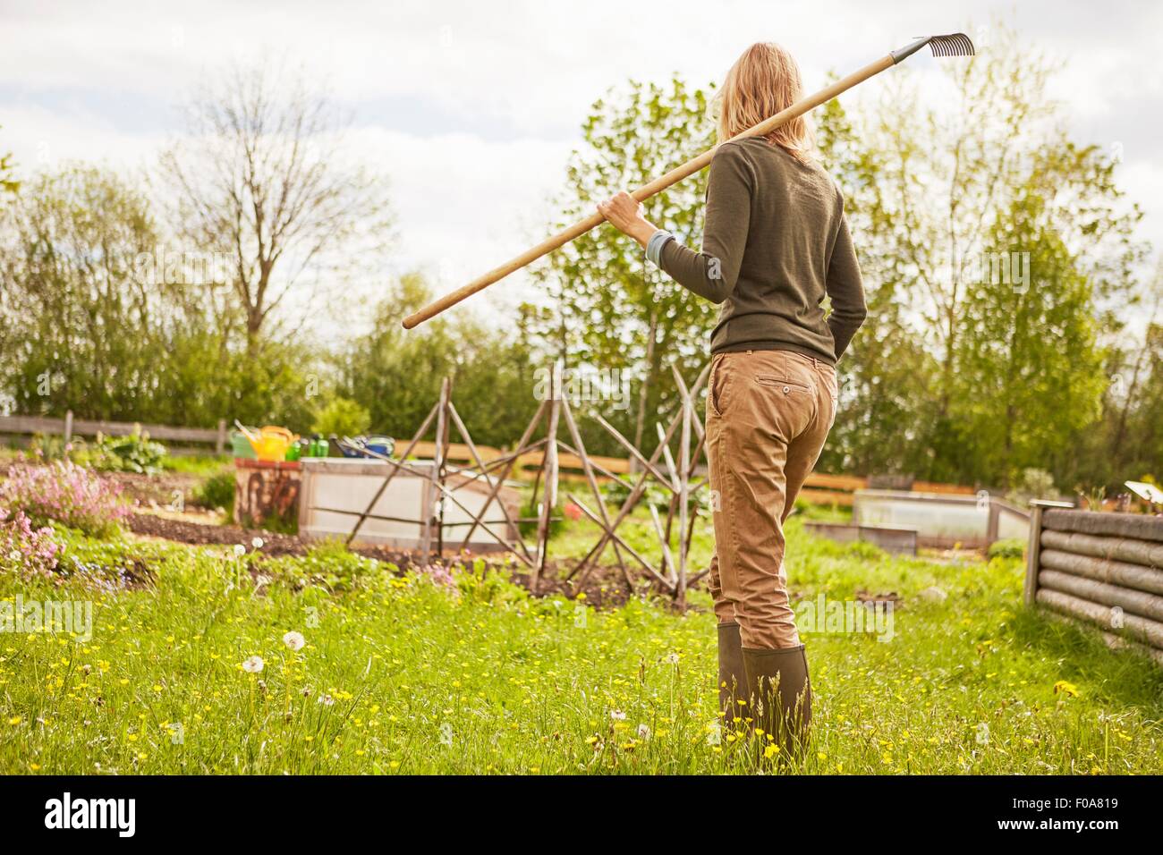 Mature woman, outdoors, gardening, carrying rake, rear view Stock Photo