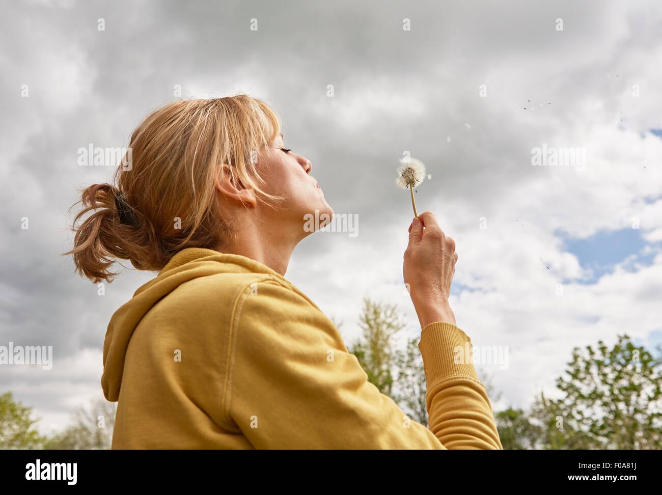 Mature woman blowing seeds off dandelion, low angle view Stock Photo