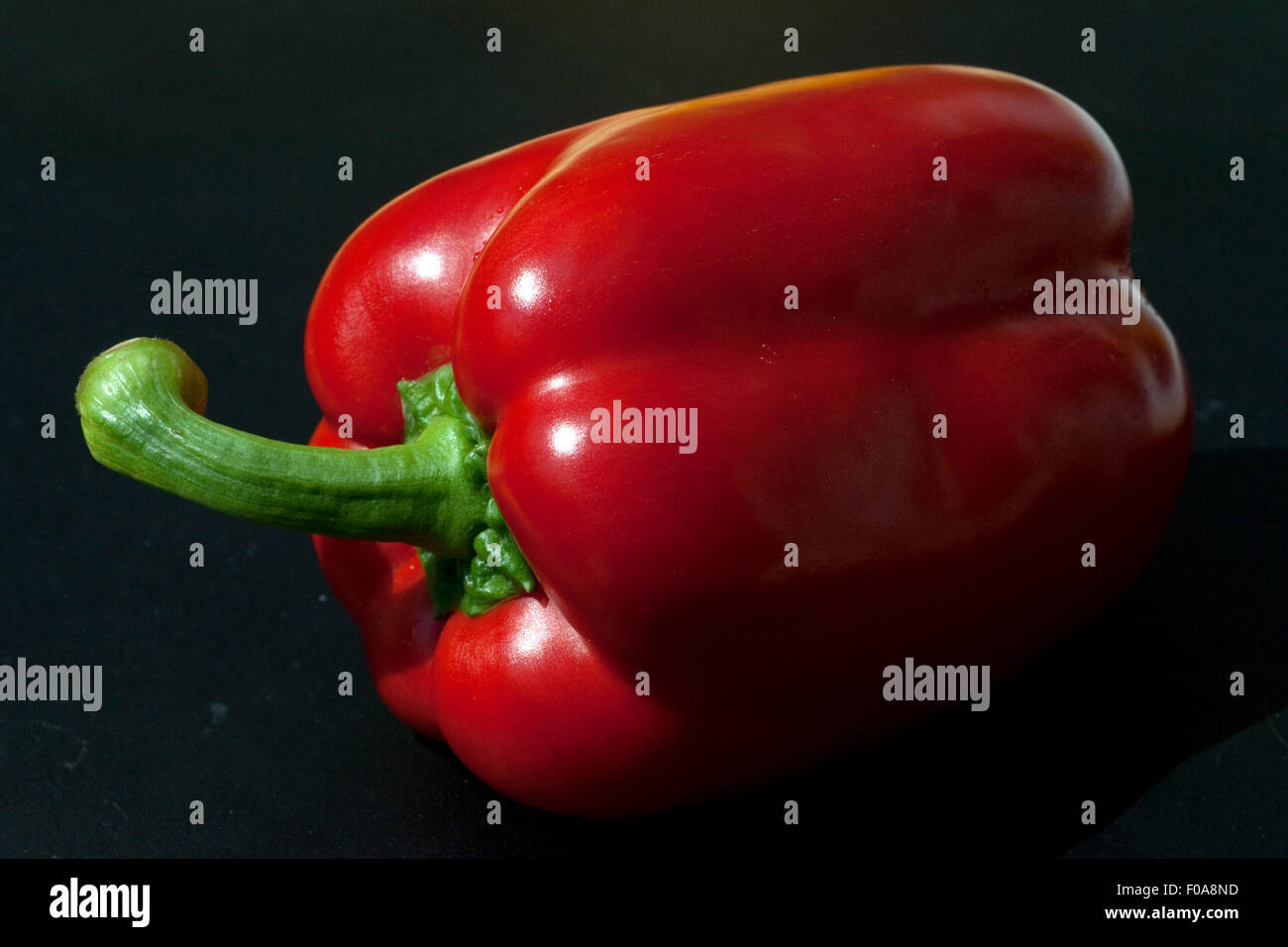Paprika; Capsicum; annuum Stock Photo Alamy