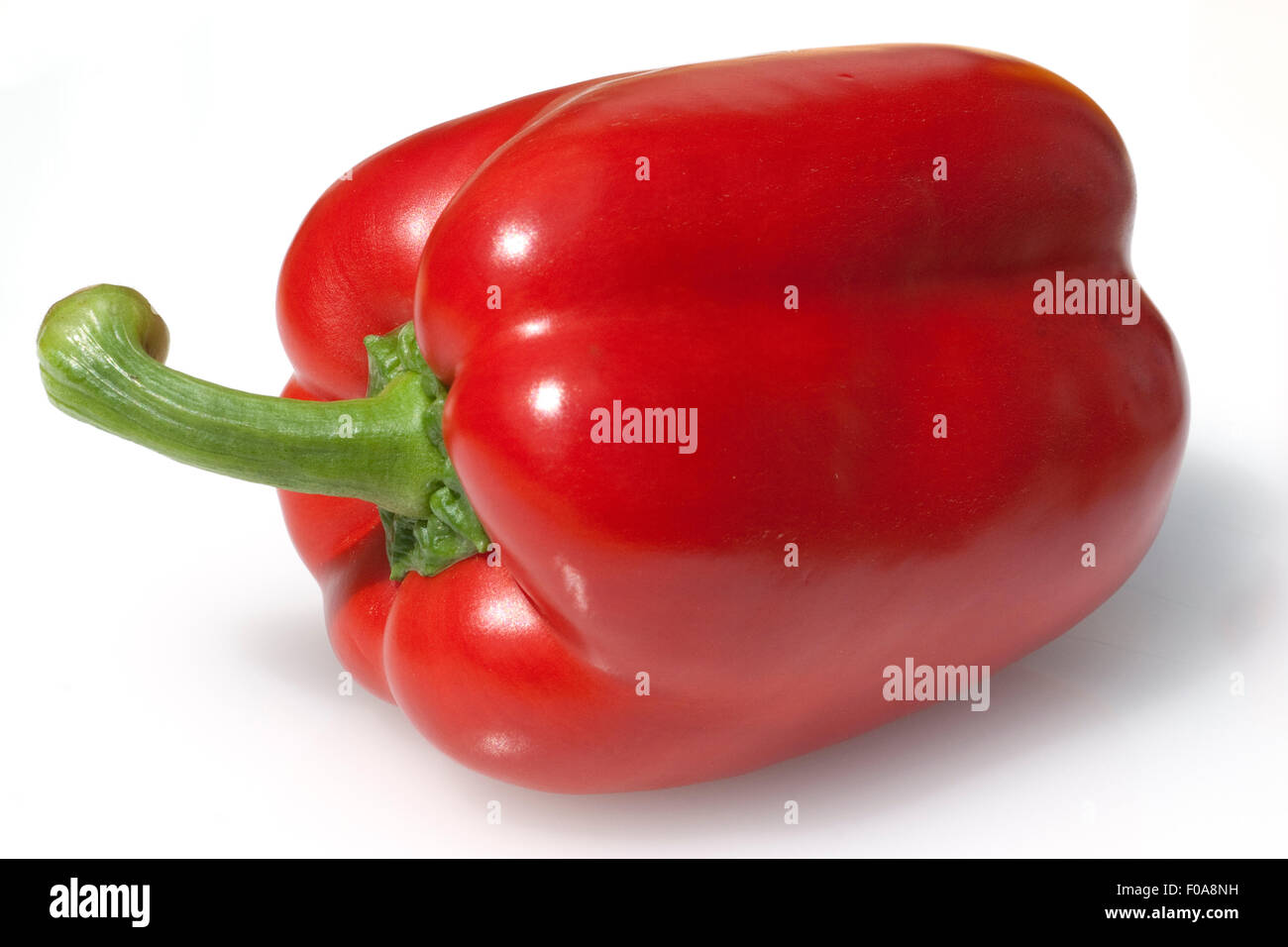 Paprika; Capsicum; annuum Stock Photo Alamy