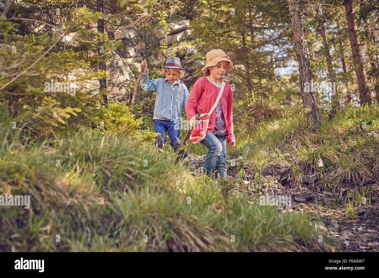 Two young children, exploring forest Stock Photo