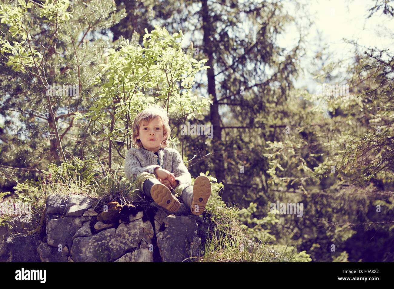 Young boy relaxing on rocks in forest Stock Photo