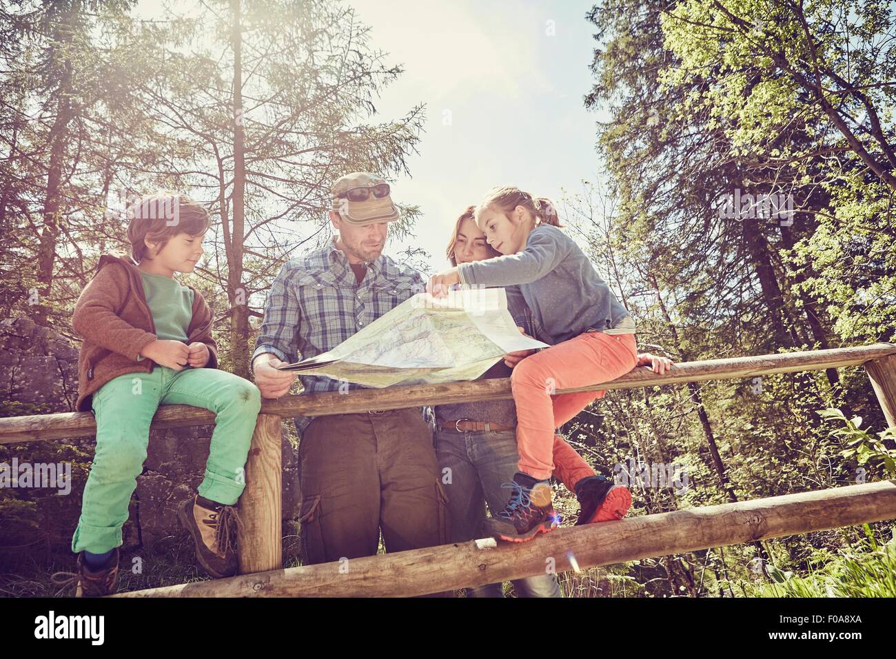 Family in forest, looking at map, low angle view Stock Photo