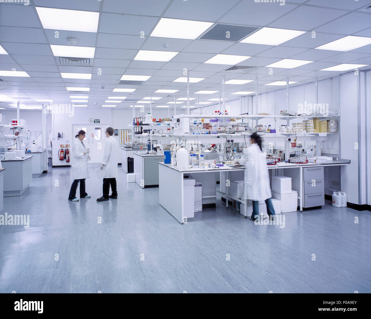 Wide angle view of scientists working in laboratory Stock Photo