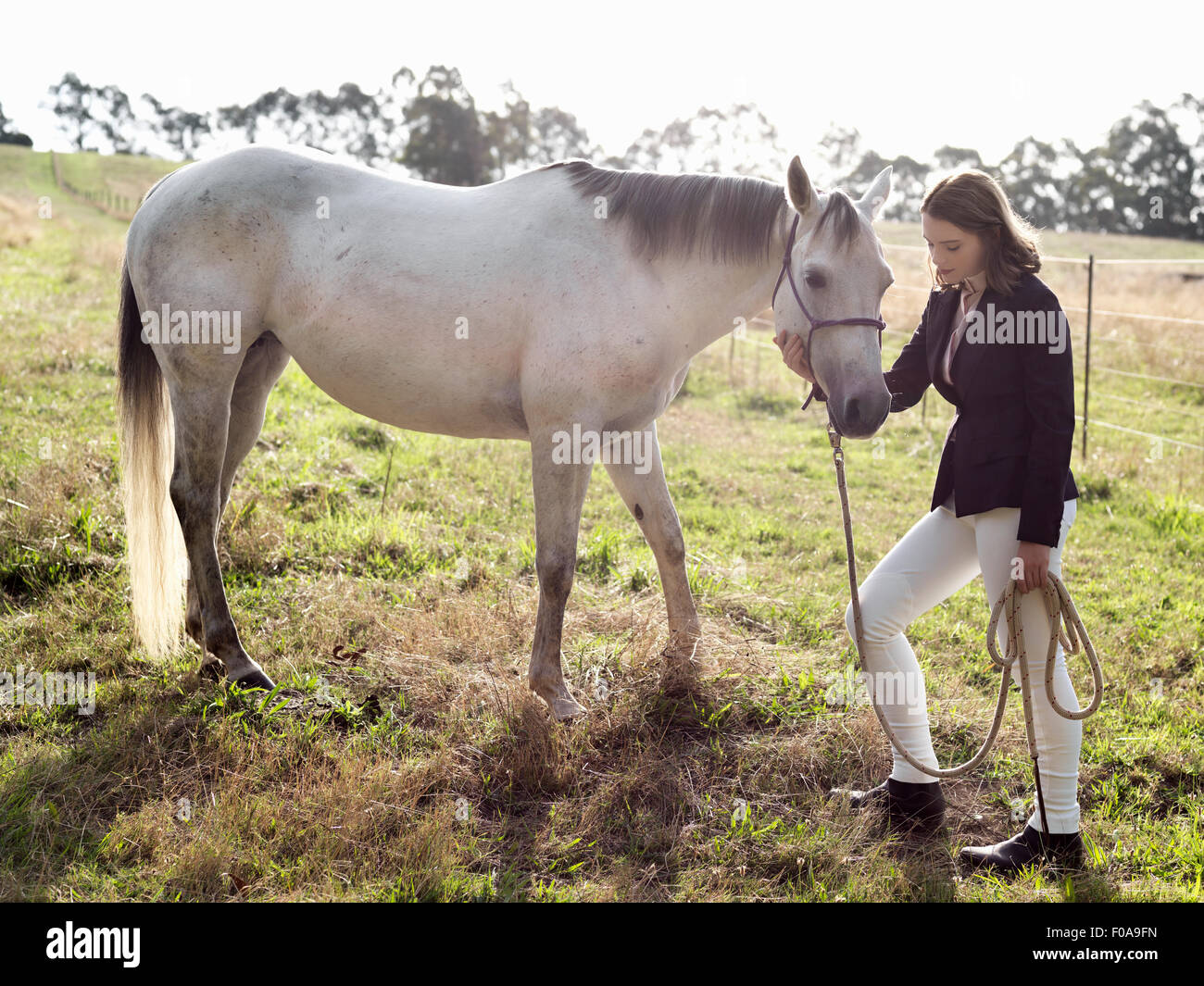 Teenage girl leading grey horse in field Stock Photo
