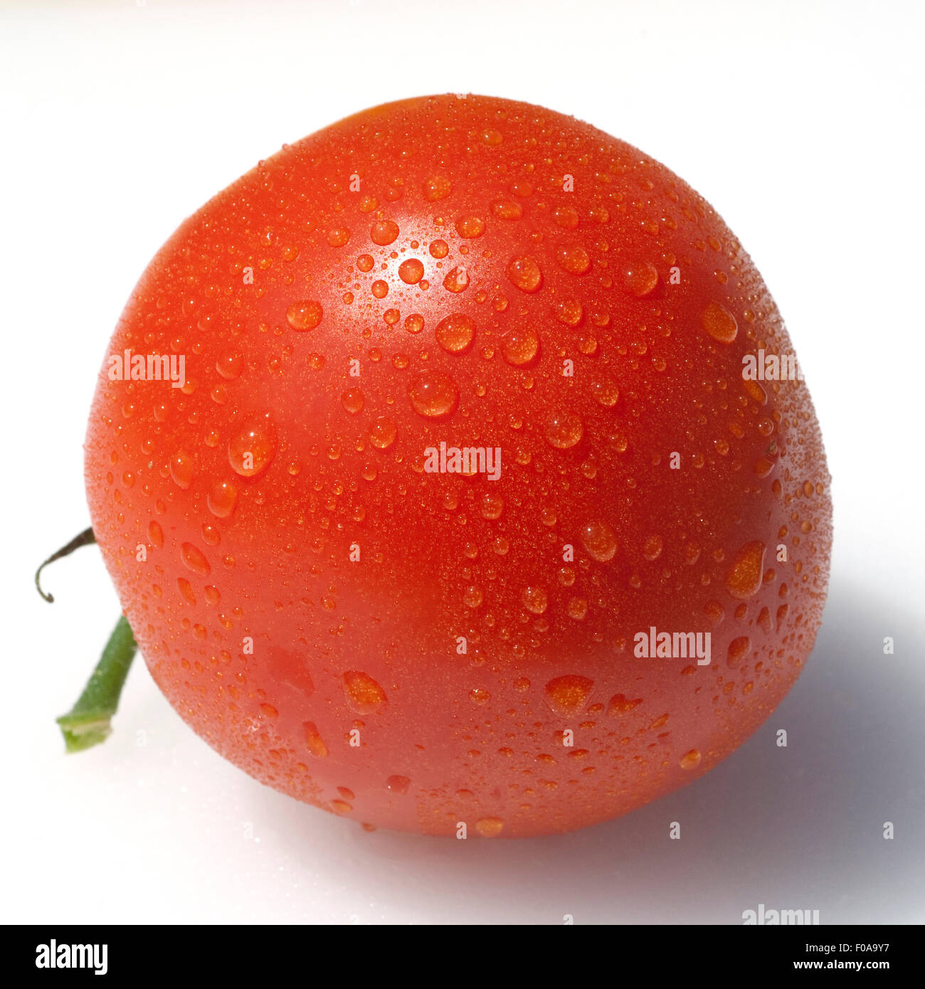 Rispen-Tomaten, Lycopersicon esculentum Stock Photo