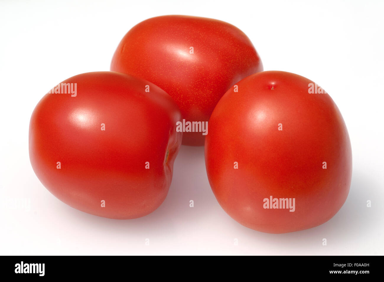 Roma-Tomaten, Romatomaten, Lycopersicon esculentum; Stock Photo