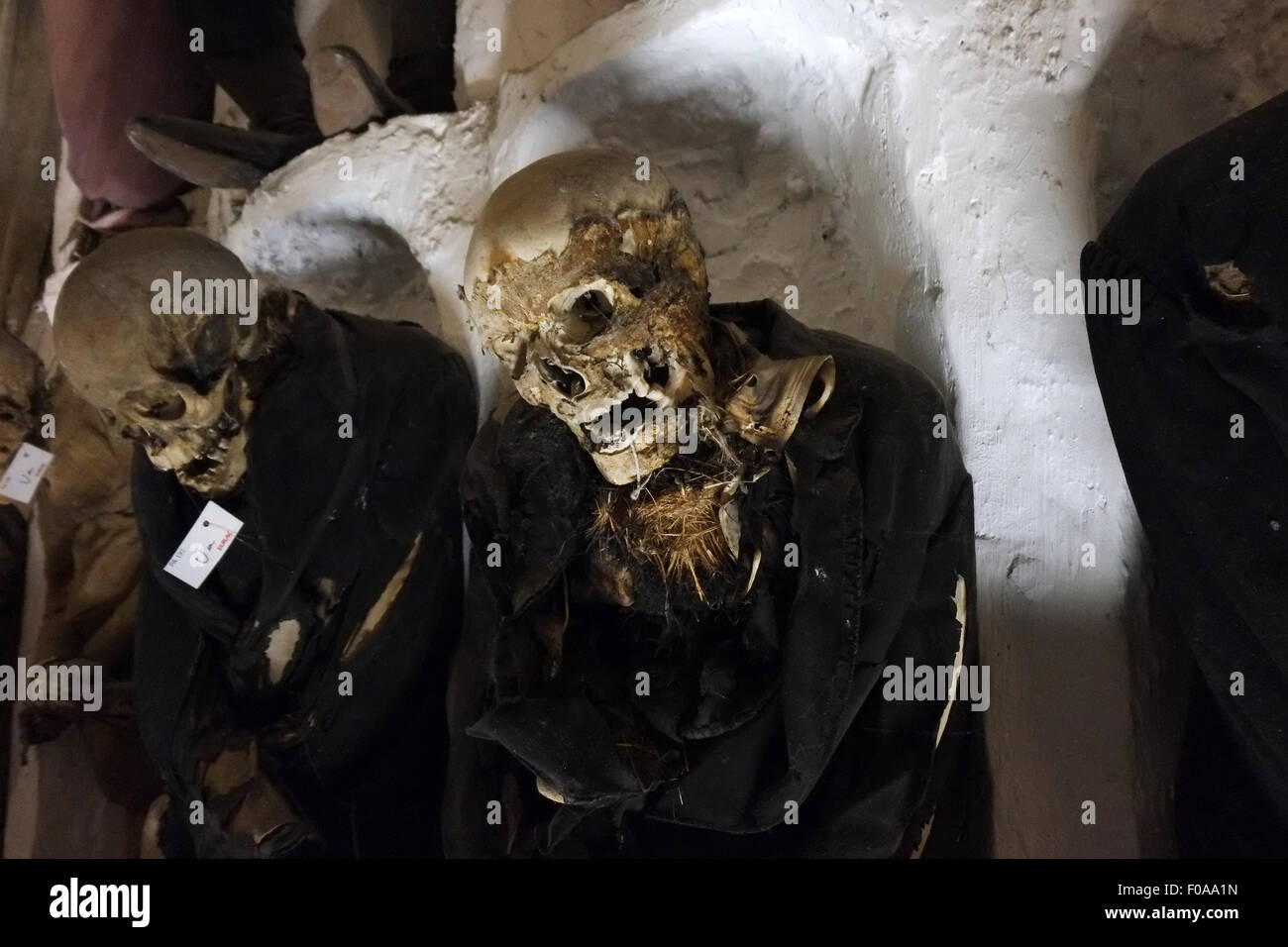 BODIES IN CATACOMBES,PALERMO,SICILY,ITALY Stock Photo