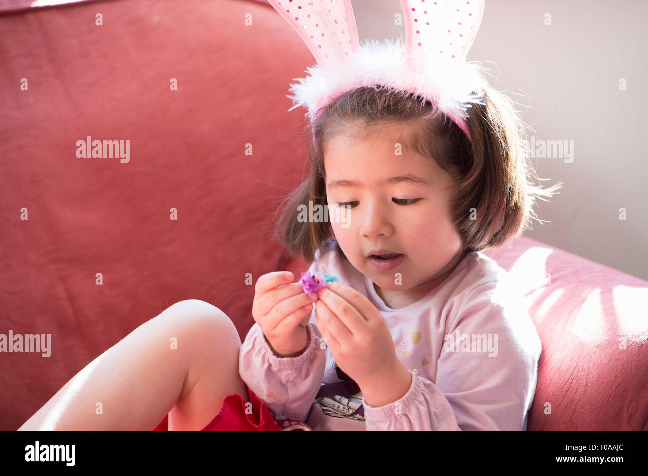 Young girl wearing bunny ears, looking at fluffy Easter chick Stock Photo