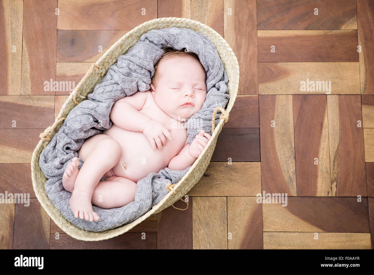 Snug moses best sale basket