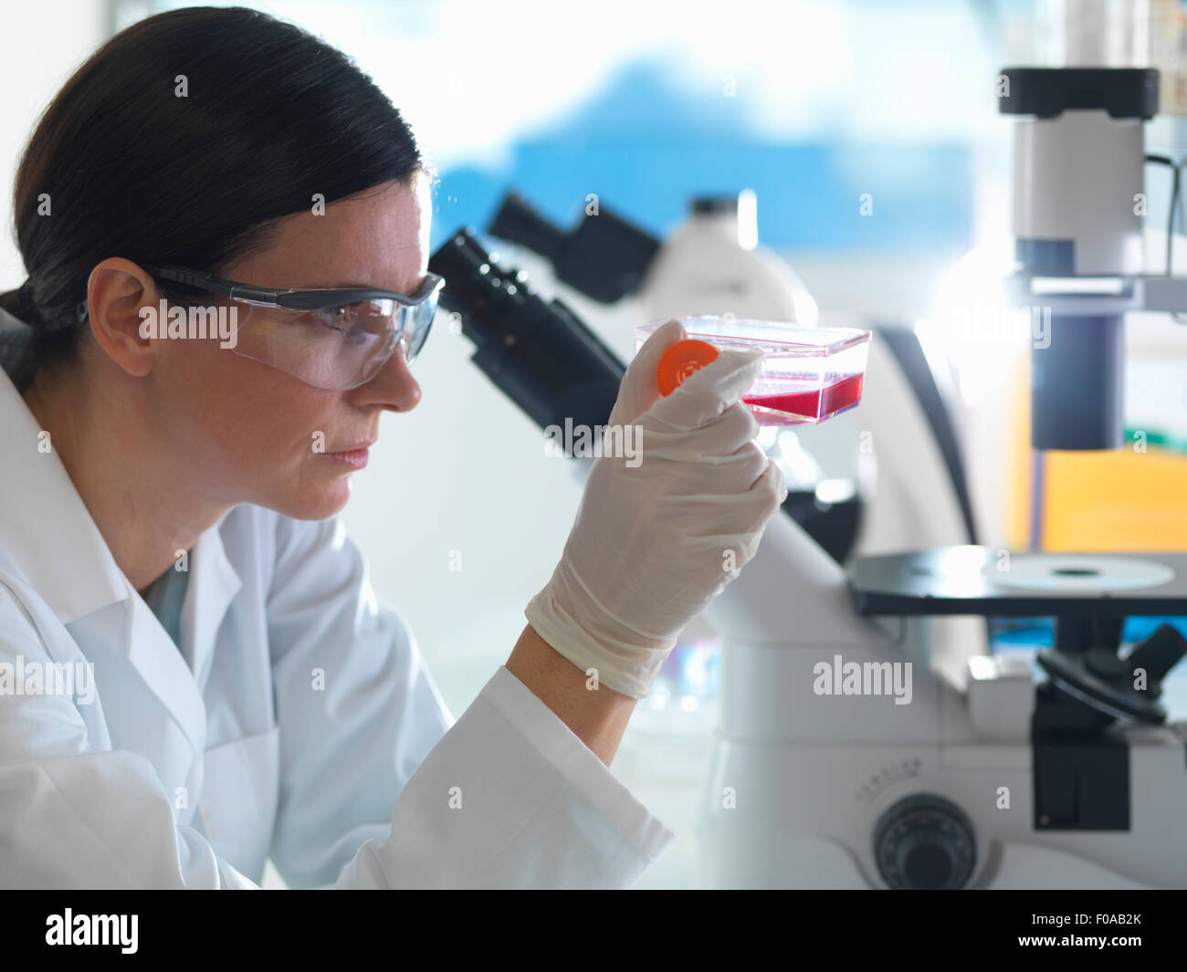Female cell biologist holding flask containing stem cells, cultivated in red growth medium Stock Photo