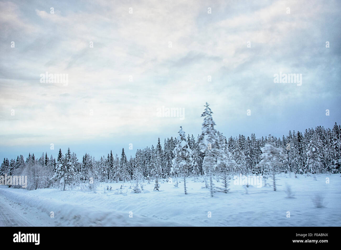 View of roadside and  snow covered trees, Hemavan, Sweden Stock Photo