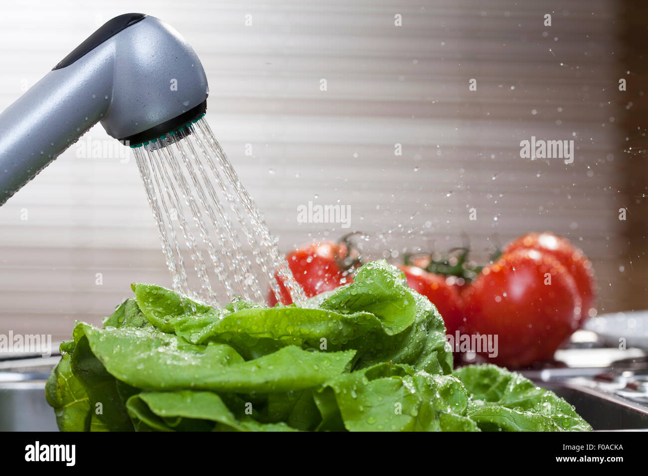 Lettuce and vine tomatoes washing in kitchen sink Stock Photo Alamy