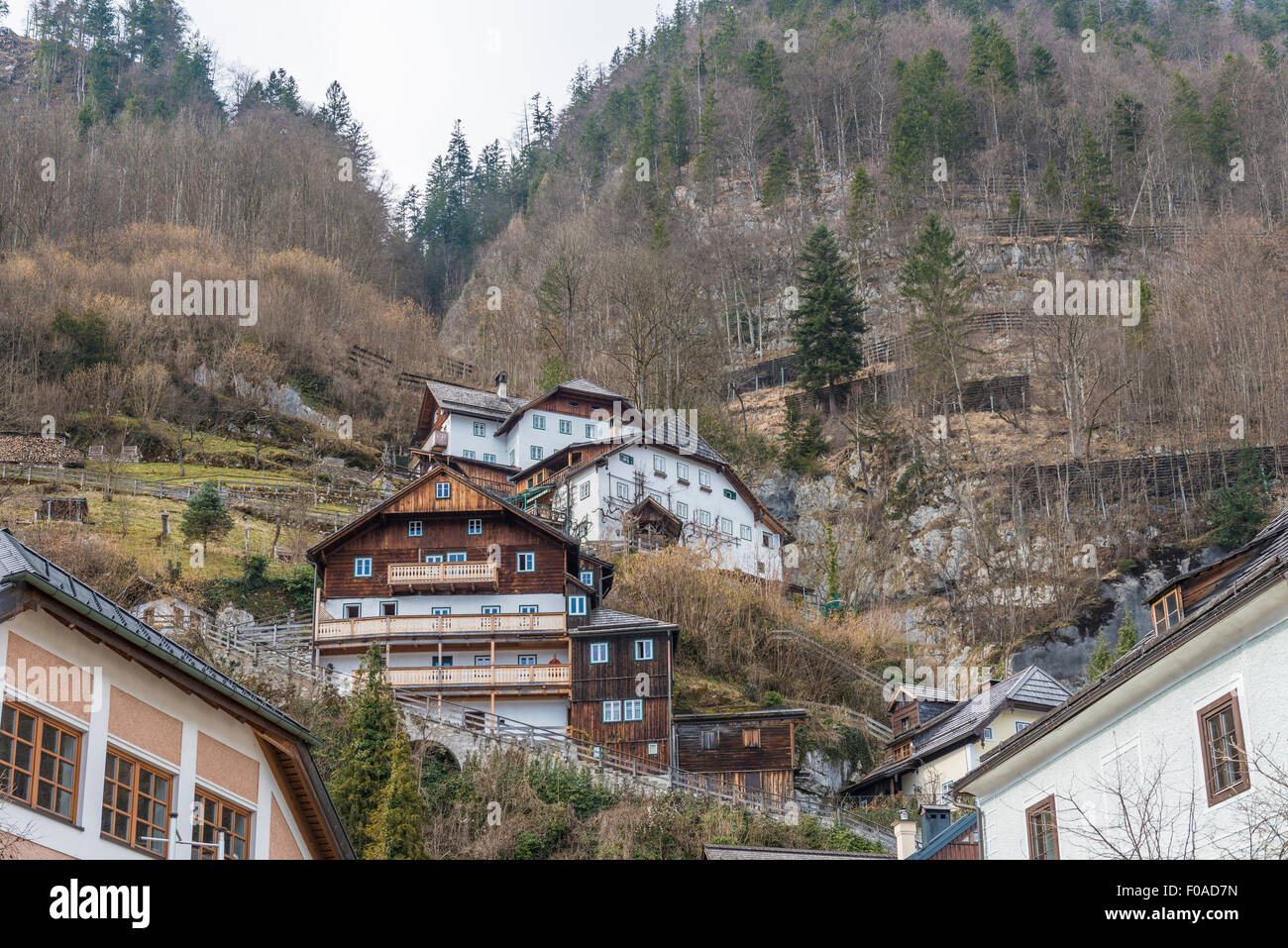 Houses on mountainside, Hallstatt, Austria Stock Photo Alamy