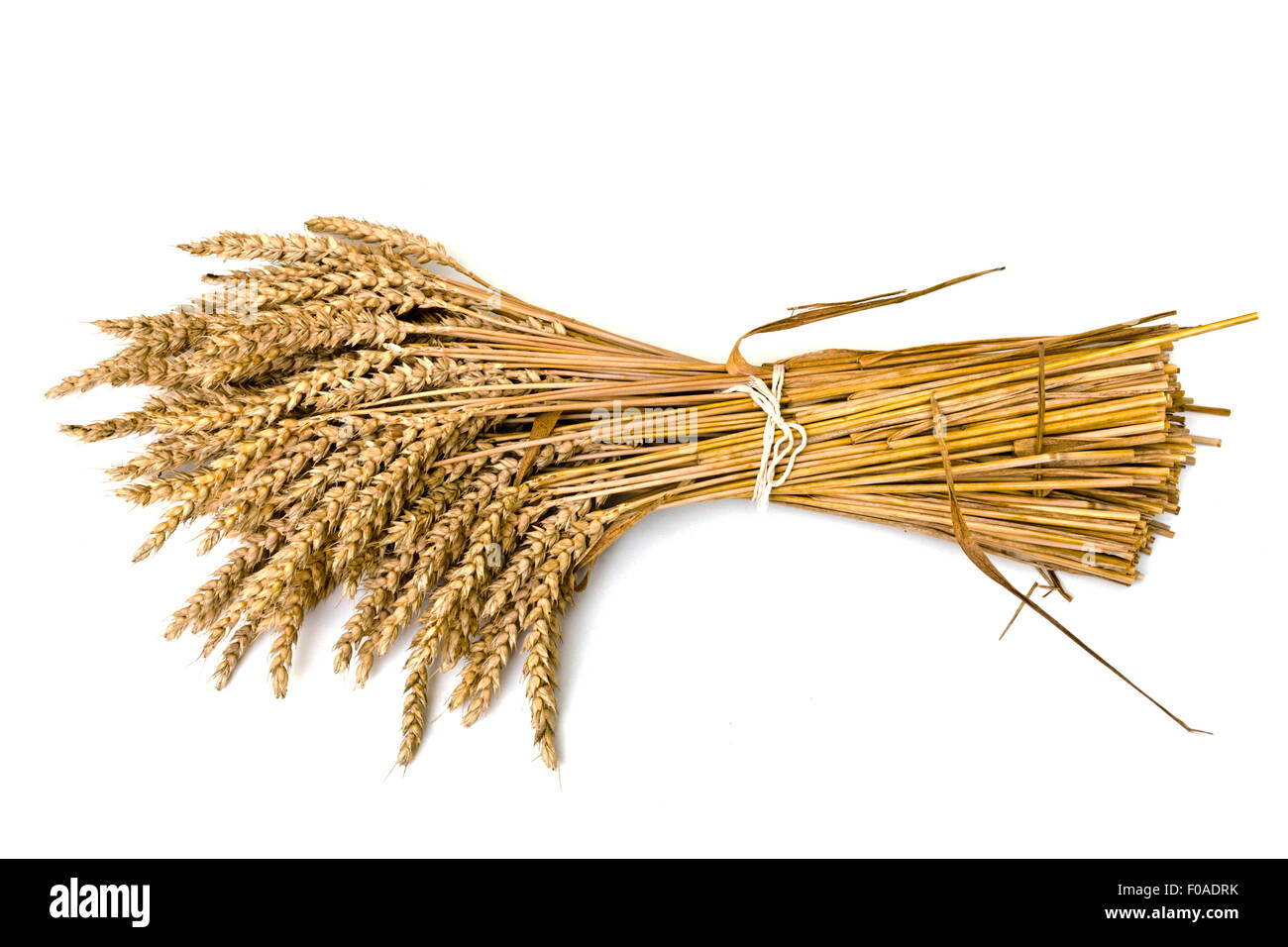 Wheat sheaf hires stock photography and images Alamy
