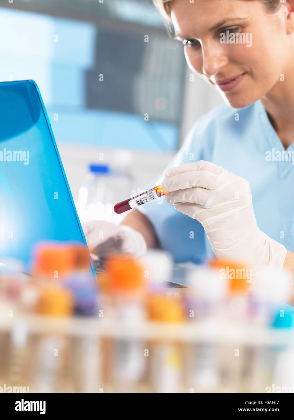 Medical researcher viewing data on a computer for a blood sample during testing Stock Photo