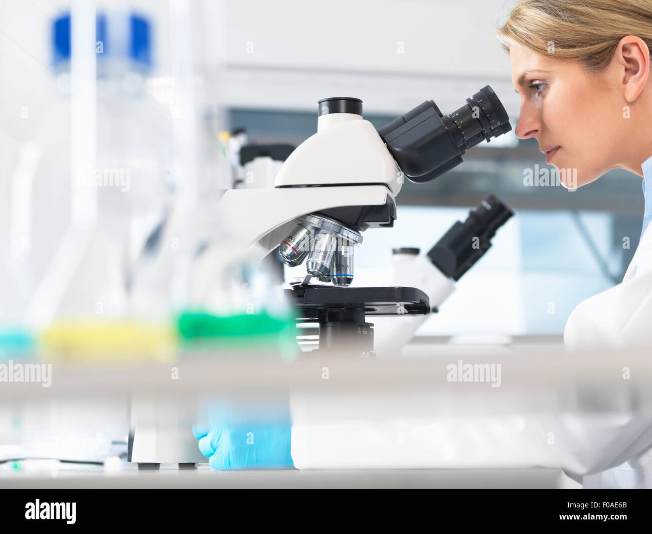 Scientist viewing sample on a glass slide through microscope for medical testing Stock Photo
