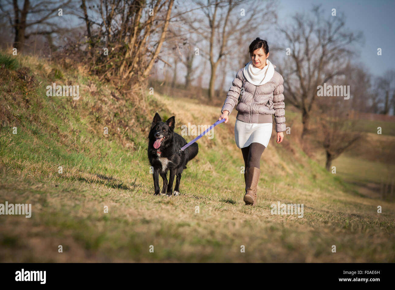 Mid adult woman walking her dog in field Stock Photo