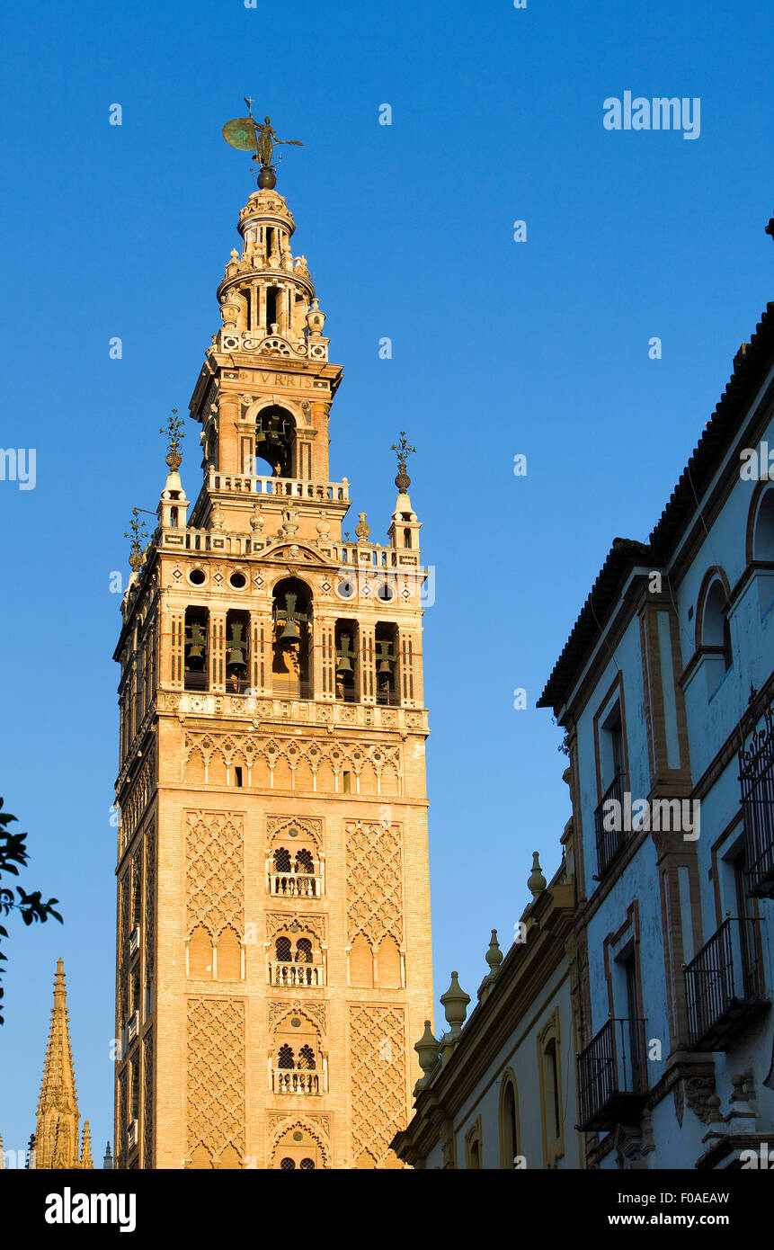 Cathedral,Giralda tower,Sevilla,Andalucía,Spain Stock Photo