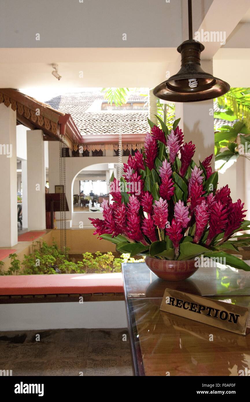 Sri lanka hotel reception hires stock photography and images Alamy