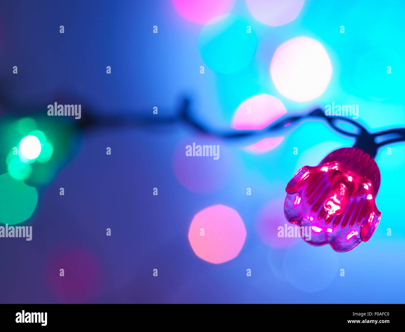 Fairy lights celebrations hires stock photography and images Alamy