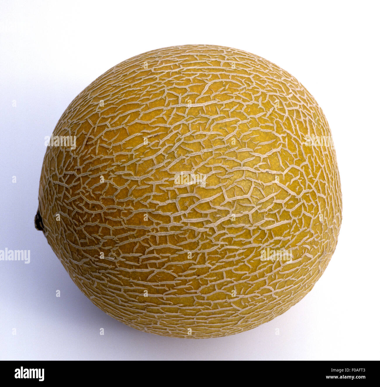 Zuckermelone, Cucumis, Melone, Exotische Frucht, Stock Photo